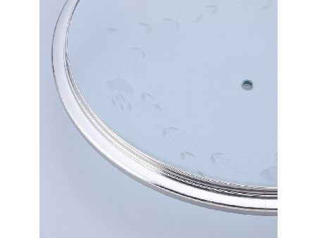 Stainless steel ring glass cover DG